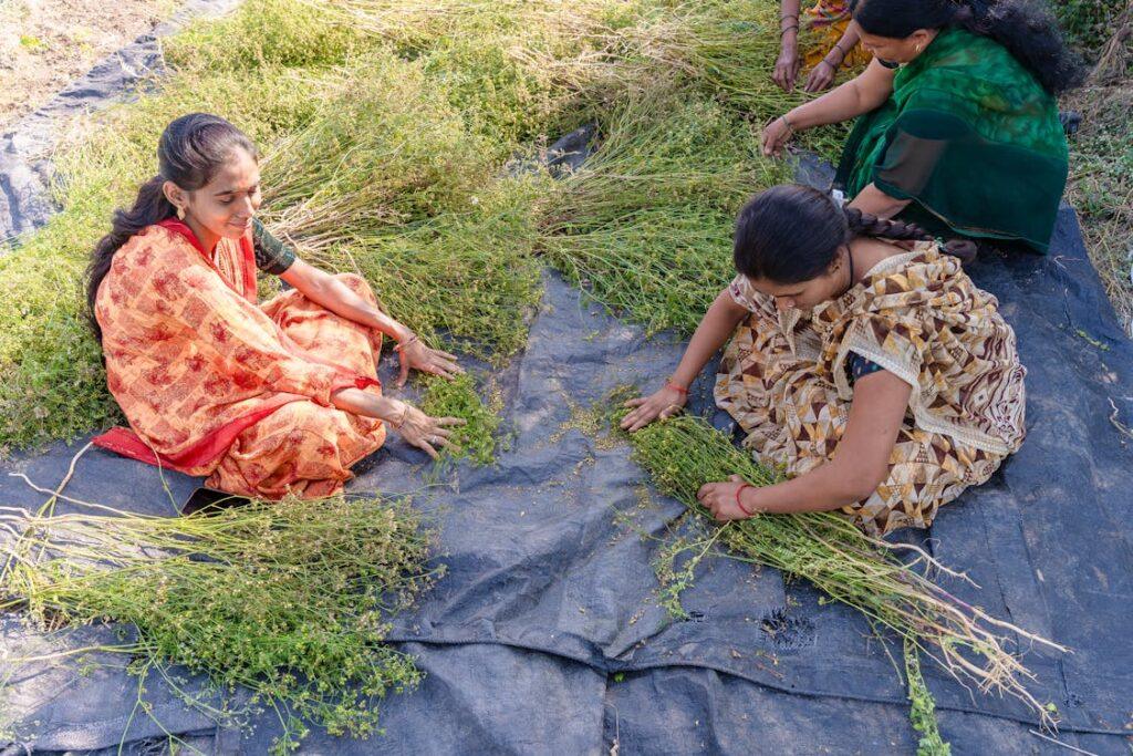 Meet the Hands Behind Our Harvest